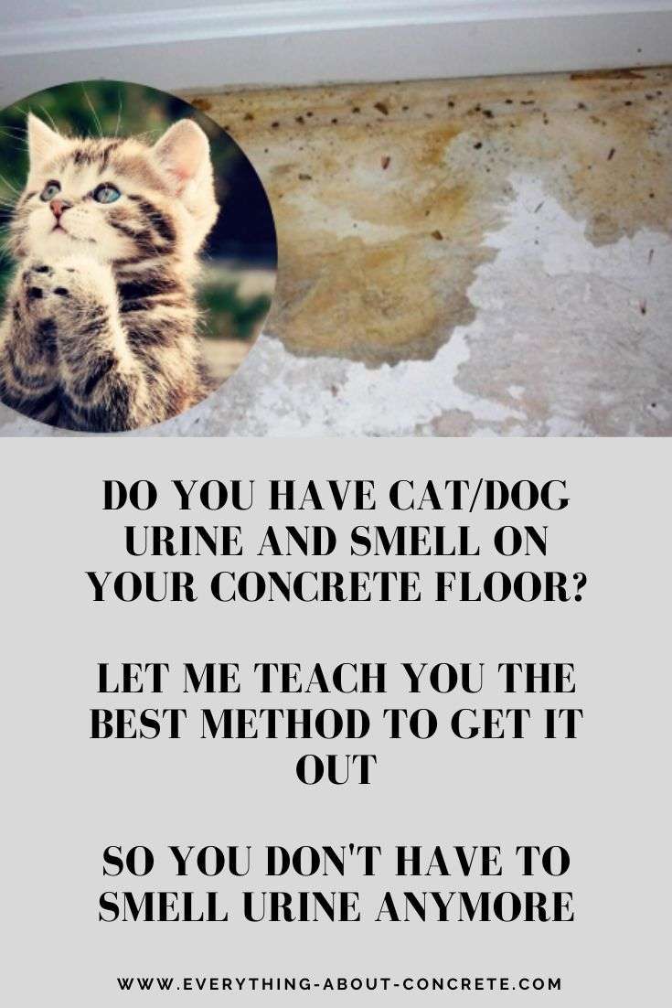 #1 Best Method to Remove Cat/Dog Urine Smell from Concrete in 2020 ...