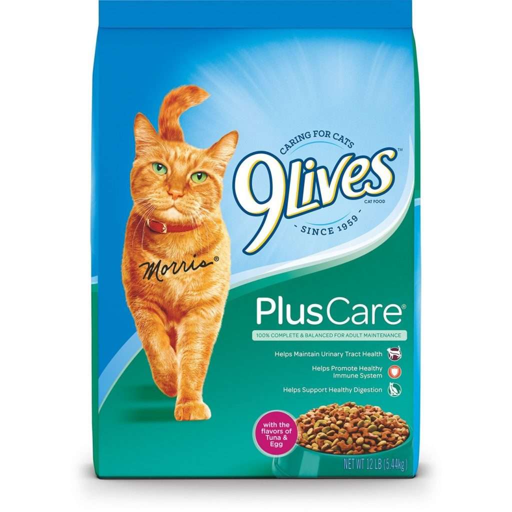 inexpensive-cat-food-that-is-healthy-lovecatstalk