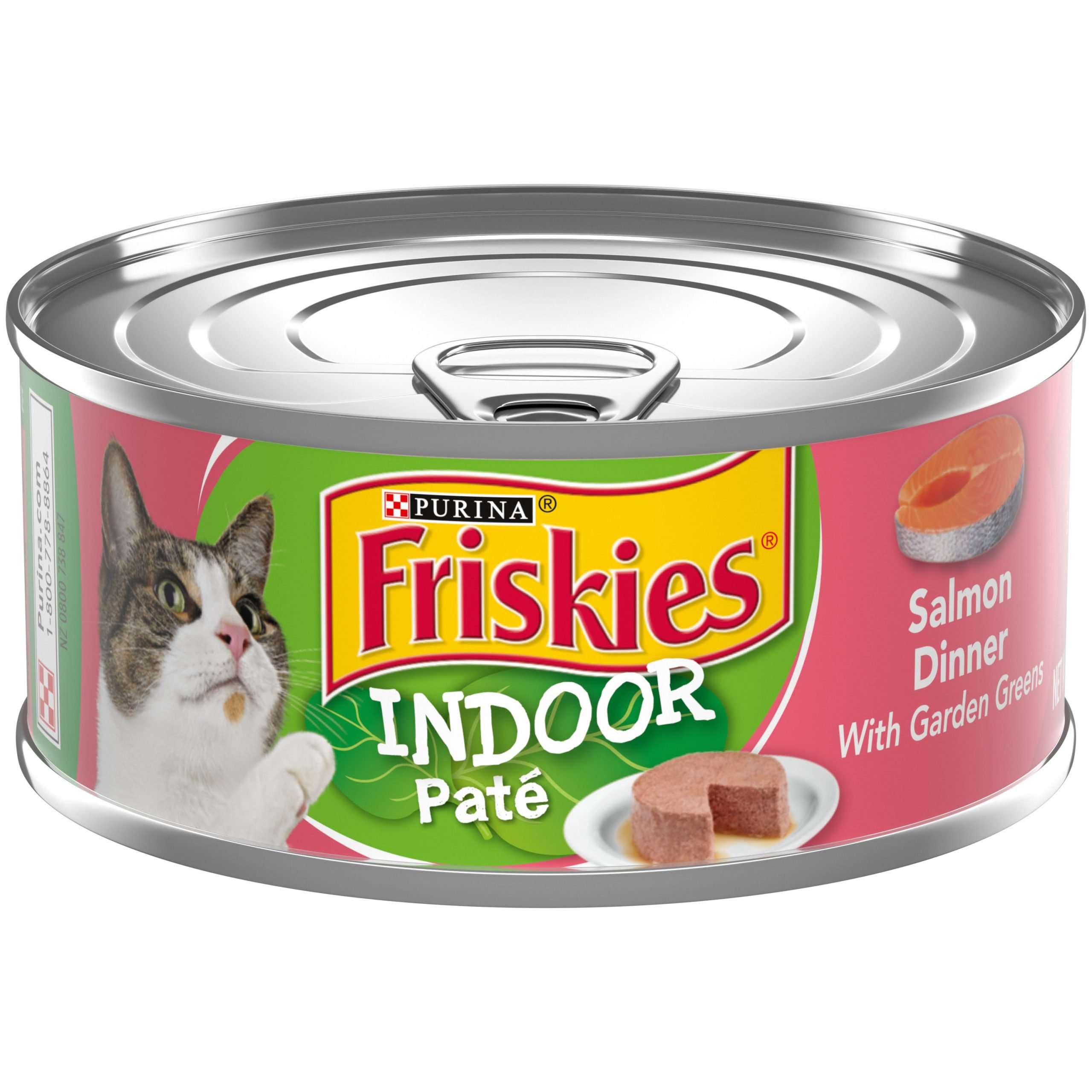 (24 Pack) Friskies Indoor Pate Wet Cat Food, Indoor Salmon ...
