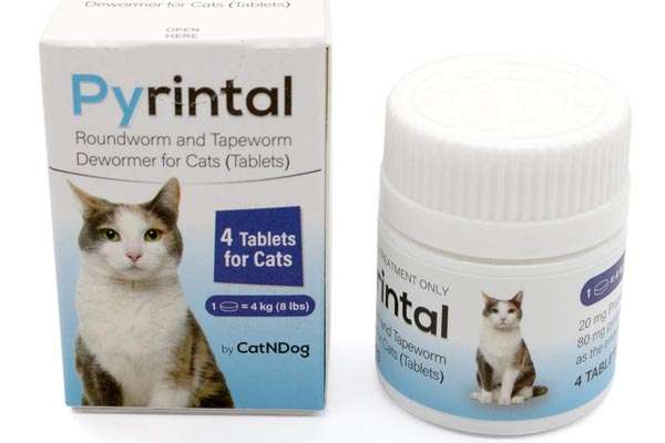 5 Best Dewormer For Cats You Can Buy