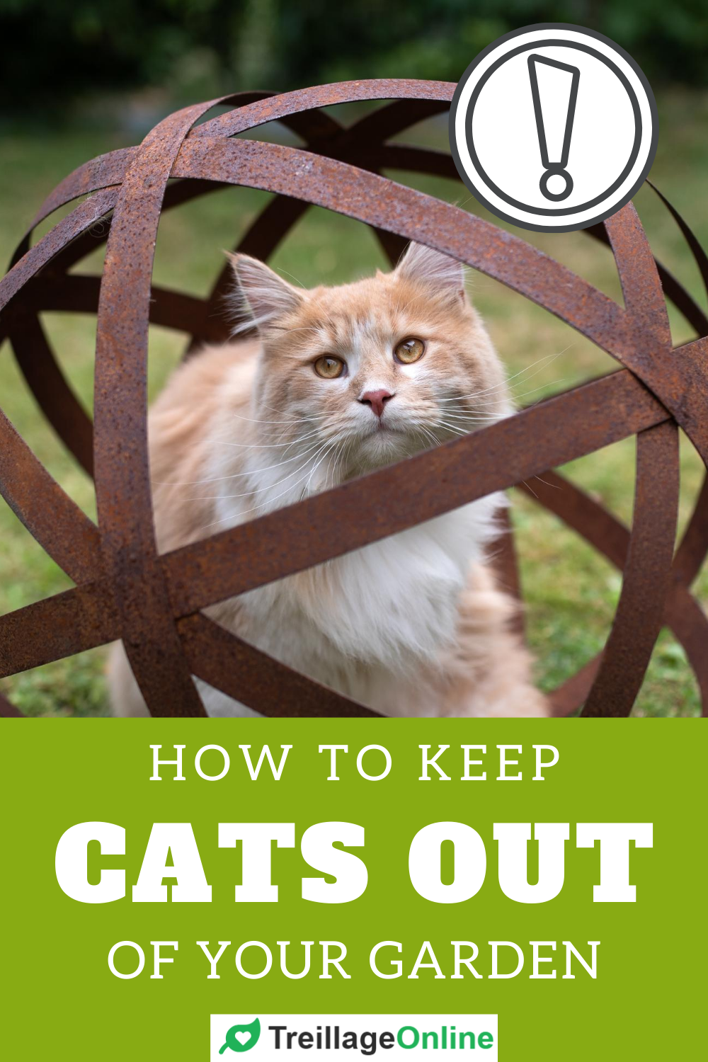 5 Ways to Keep Cats Out of Your Yard