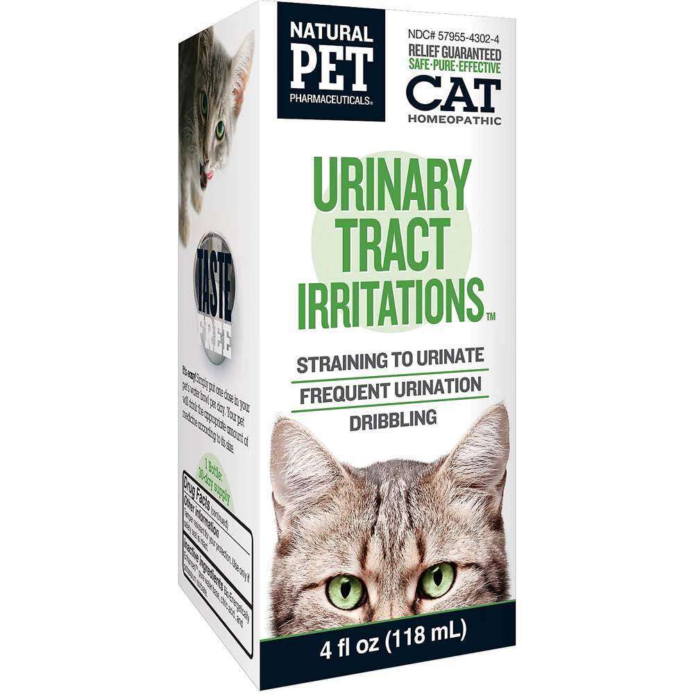 58 Top Pictures Natural Antibiotics For Cats Urinary Tract ...
