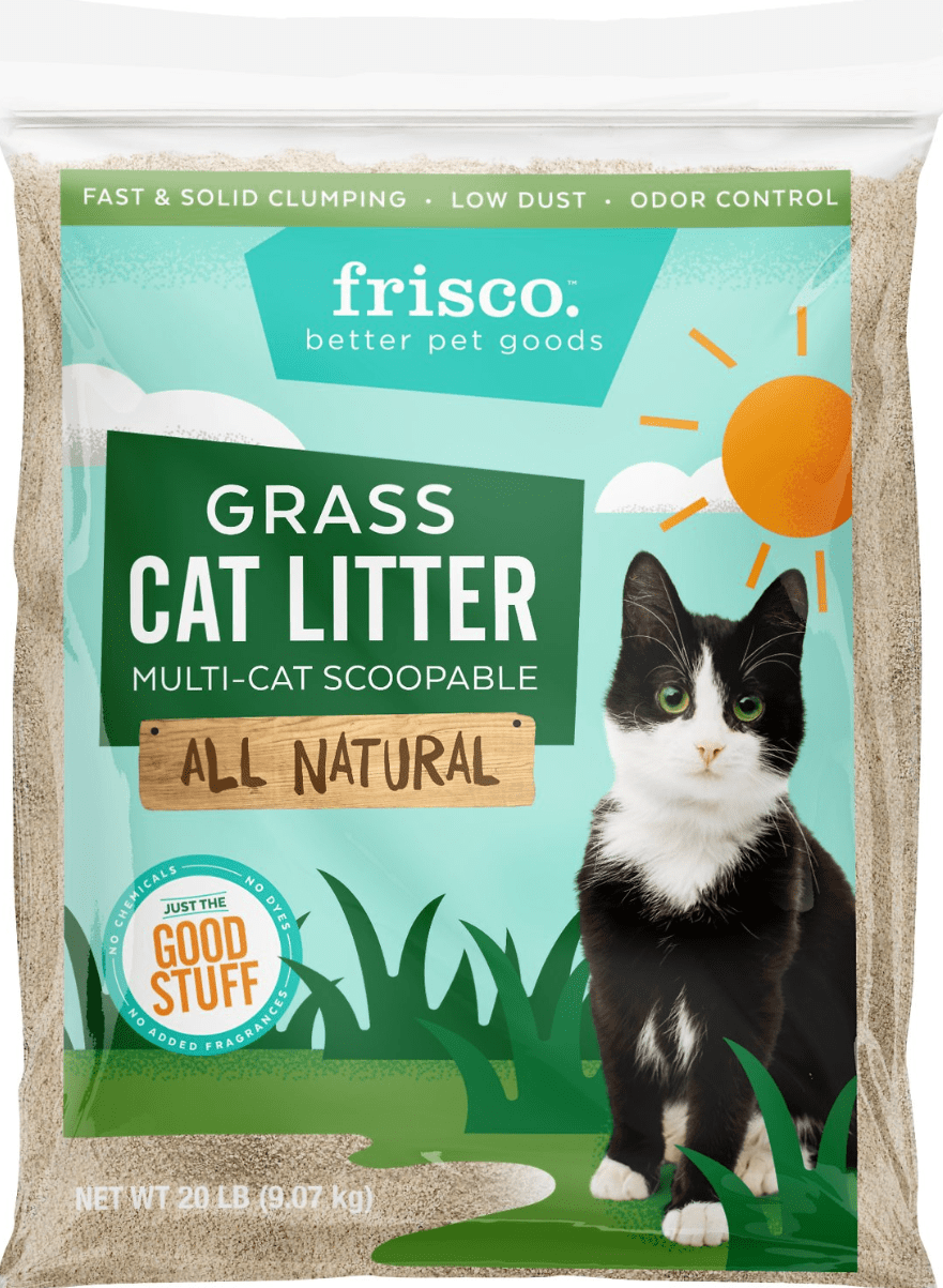 6 Best Dust Free Cat Litter Brands In 2019