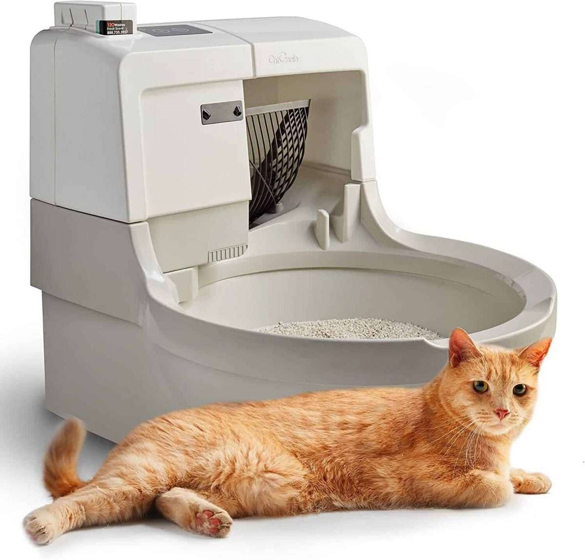 7 Best Automatic Litter Box For Self Cleaning [2021 Update]
