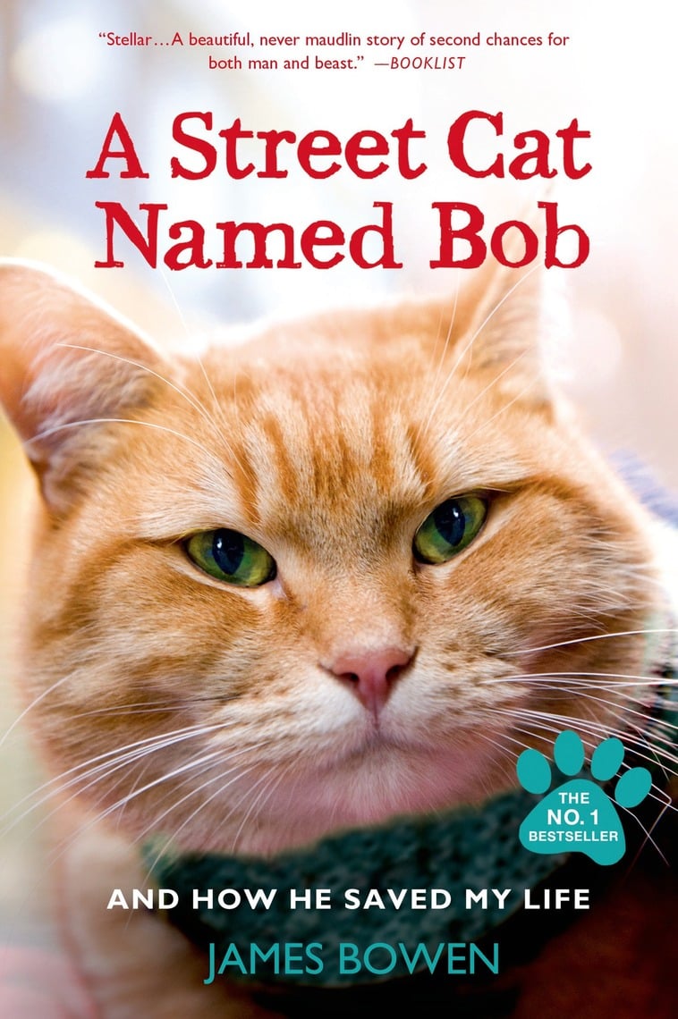 A Street Cat Named Bob by James Bowen