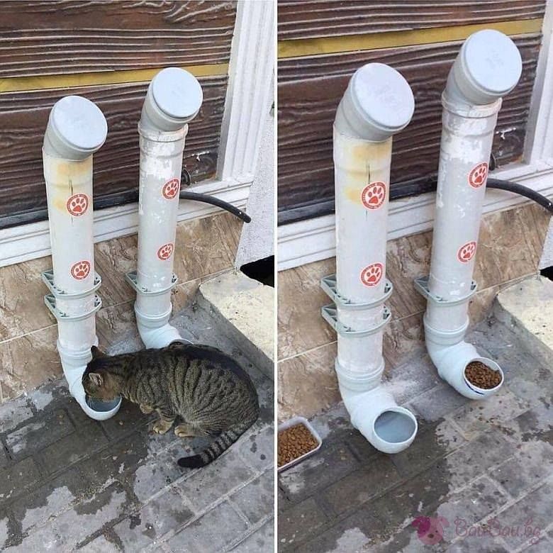 Adding water tubes and dry food to feed stray cats in #Damascus #Syria ...