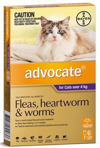 Advocate Flea, Heartworm And Worm Treatment for Cats 4kg ...
