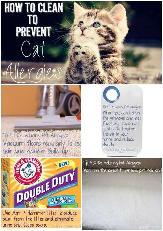ALLERGIES?! YOU CAN KEEP YOUR CAT