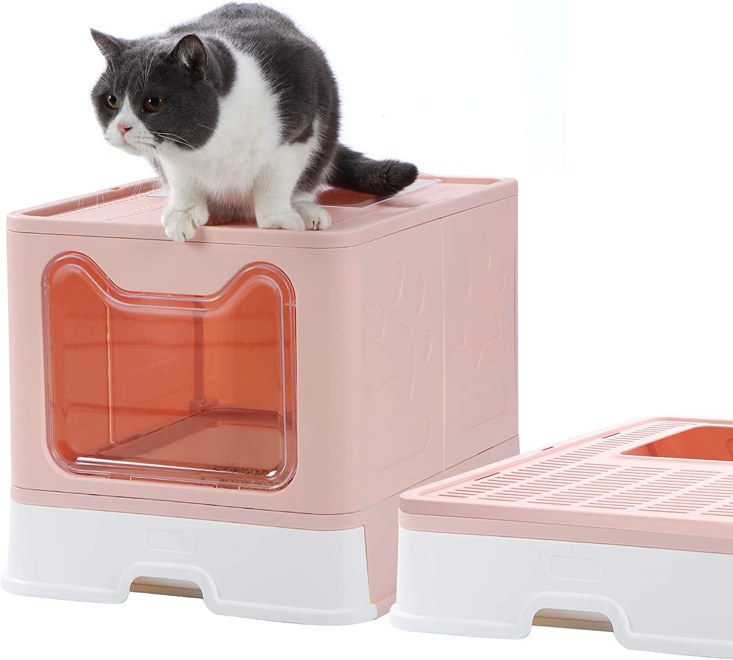 Amazon.com: Dymoll Enclosed Litter Box, Foldable Top Entrance Cat ...