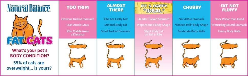 Amazon.com : Natural Balance Fat Cats Low Calorie Dry Cat ...