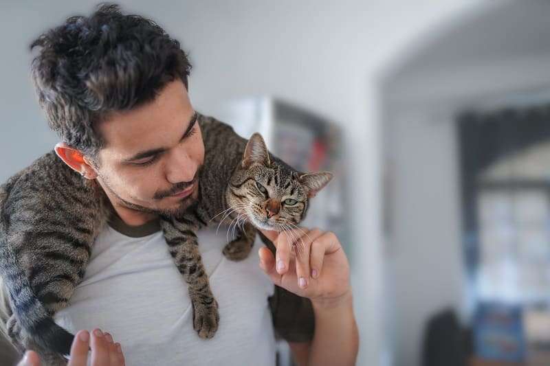 Are Cats Protective of Their Owners?