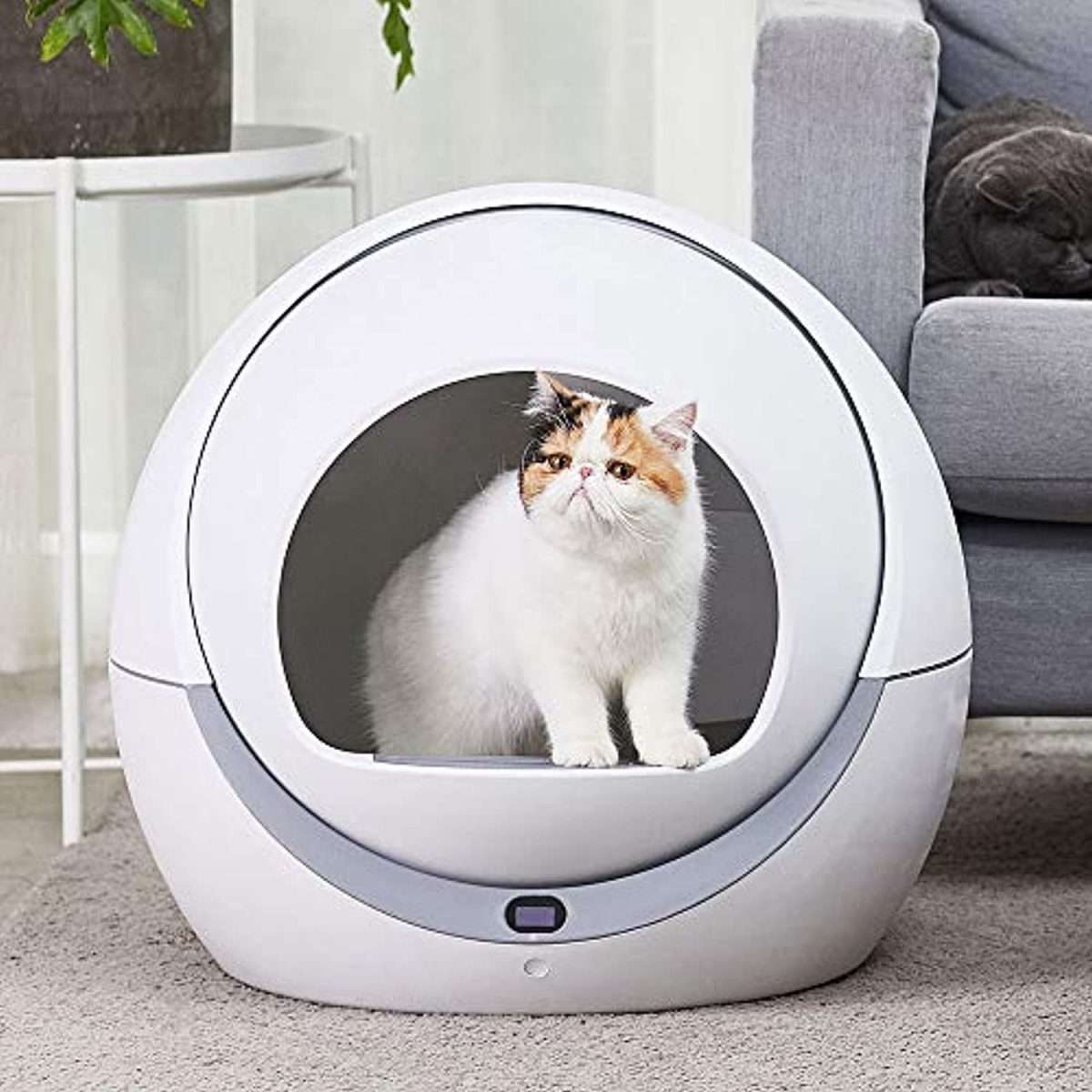 ASDJFHKJS Automatic cat Toilet Automatic cat Sandbox Induction Rotary ...