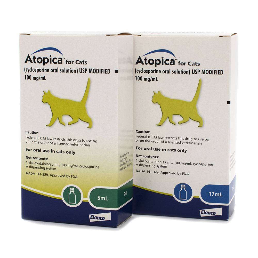 Atopica for Cats: Dog Medicine