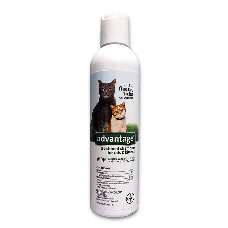 Bayer Advantage Flea and Tick Shampoo Treatment for Cats and Kittens 8oz