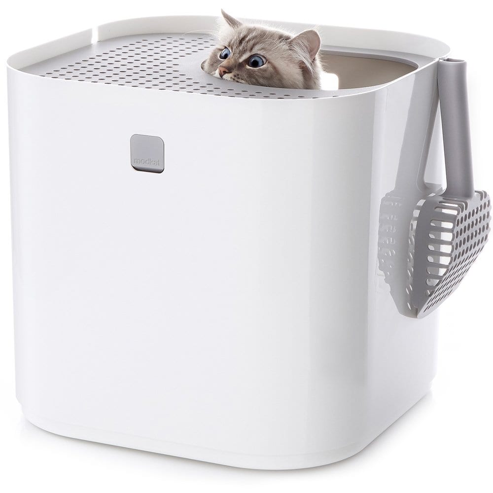 Best 8 Cat Litter Box to Buy