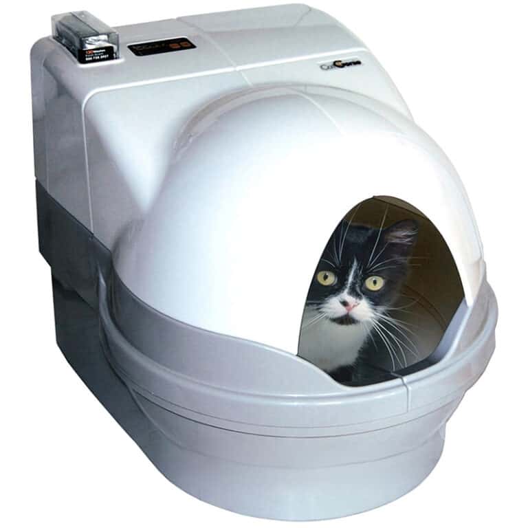 Best Automatic Litter Box for Multiple Cats