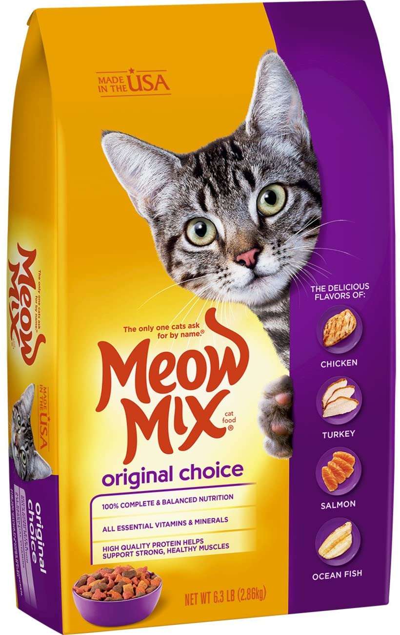 Best Dry Cat Foods in 2021 (Review & Guide)