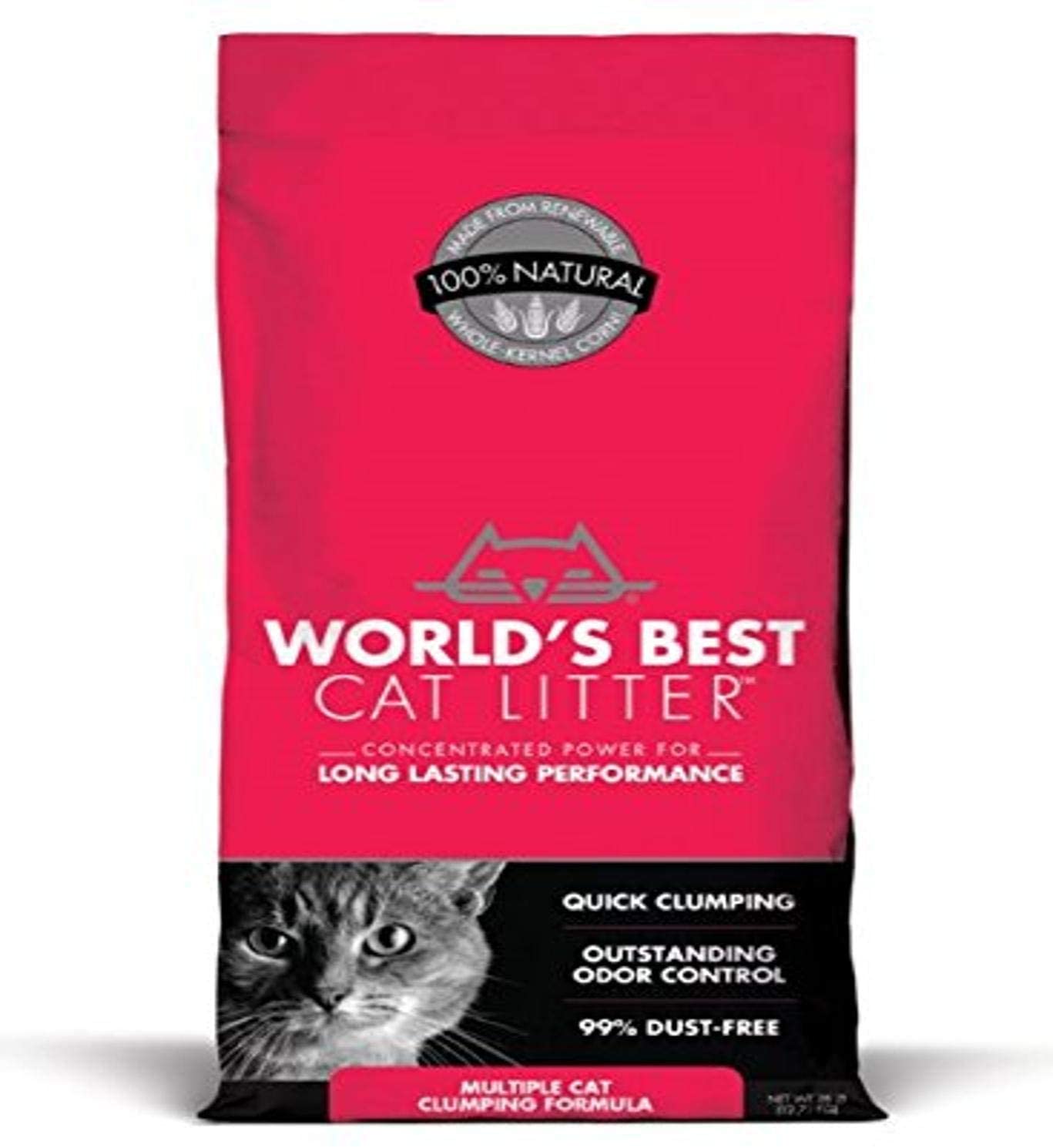 Best Dust Free Cat Litter To Buy in 2021