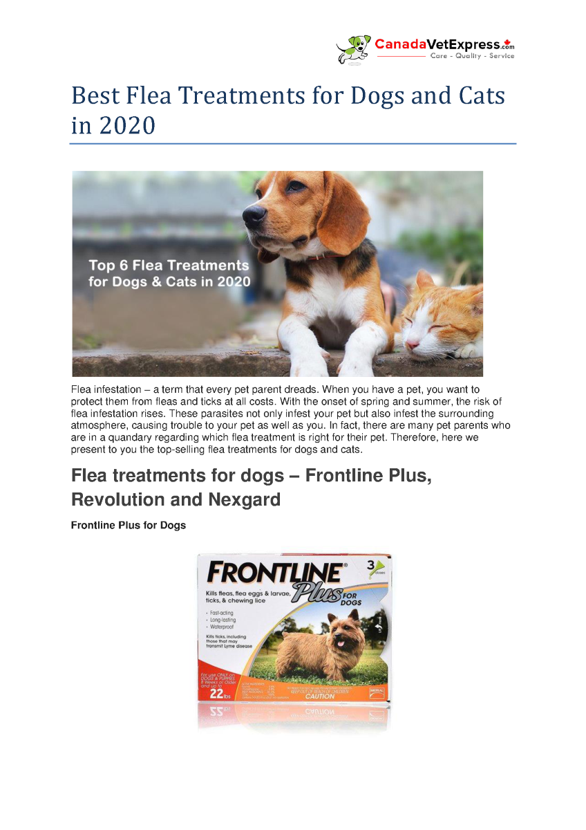 Best Flea Treatments for Dogs And Cats in 2020 ...