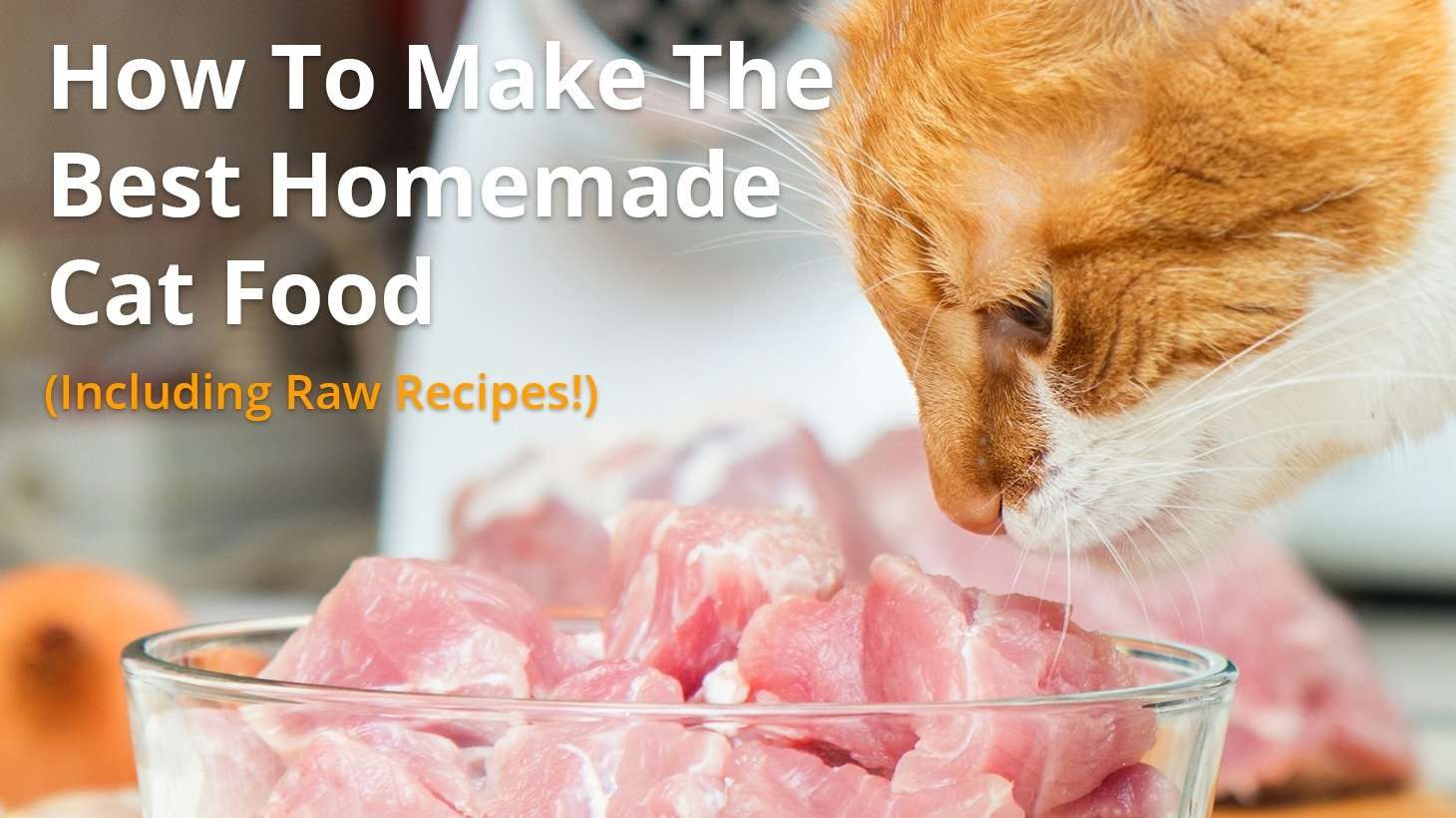Best Homemade Cat Food Recipes