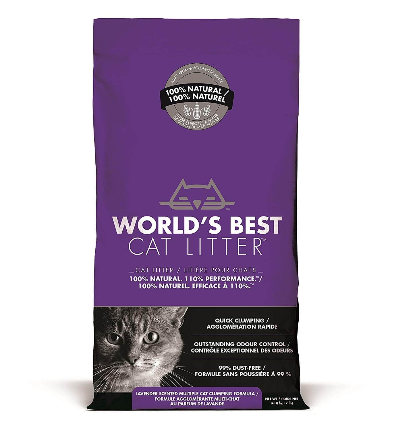 Best Odor Eliminating Cat Litter in March 2021