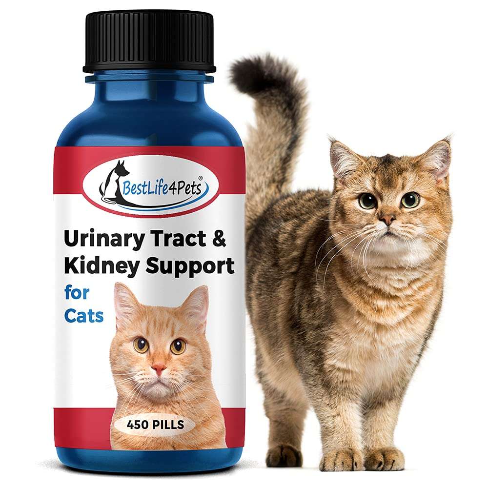 BestLife4Pets Cat UTI Urinary Tract Infection &  Kidney ...