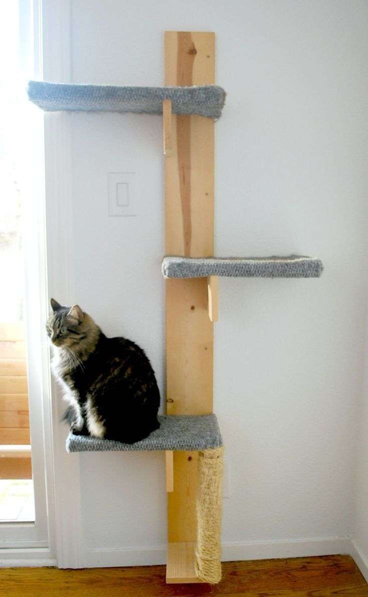 Build a Cat Tree With These Free Plans
