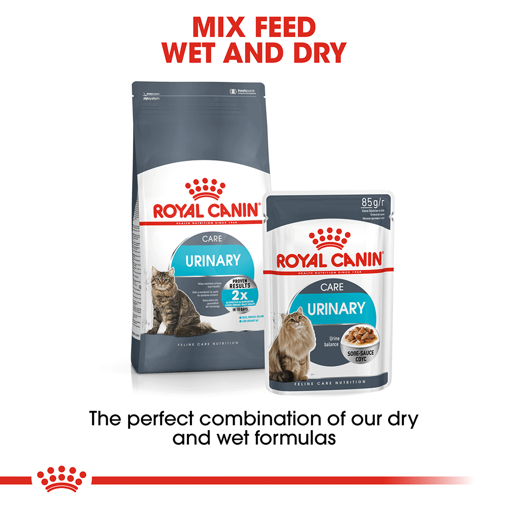 Buy Royal Canin Urinary Care Dry Cat Food Online