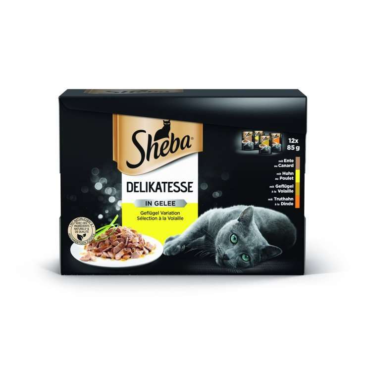Buy Sheba Délicatesse Poultry Cat Food in Gelée 12x85g ...
