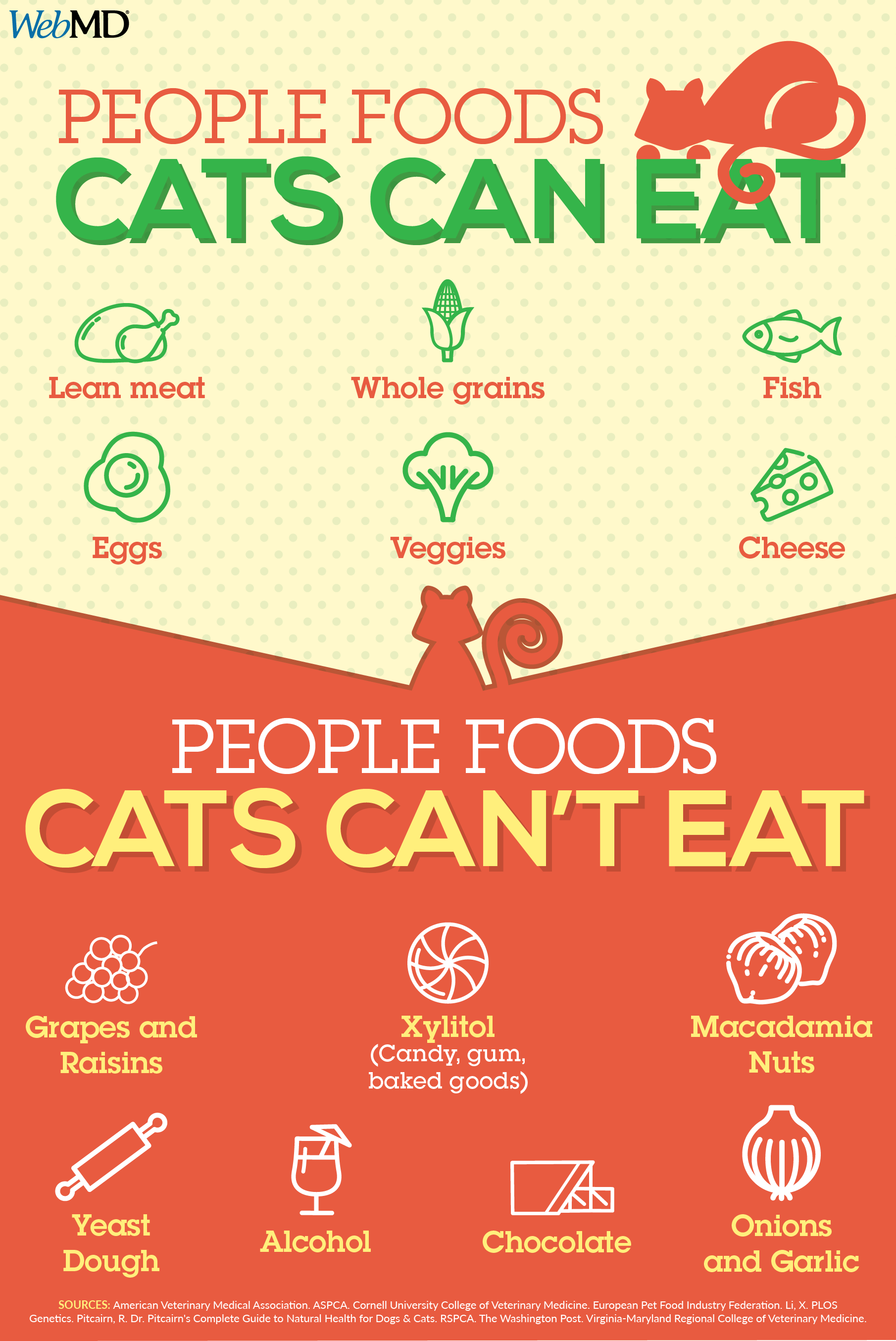 Can you give your cat table scraps? Find out which foods ...