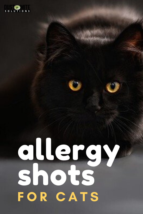 Cat Allergy Shots