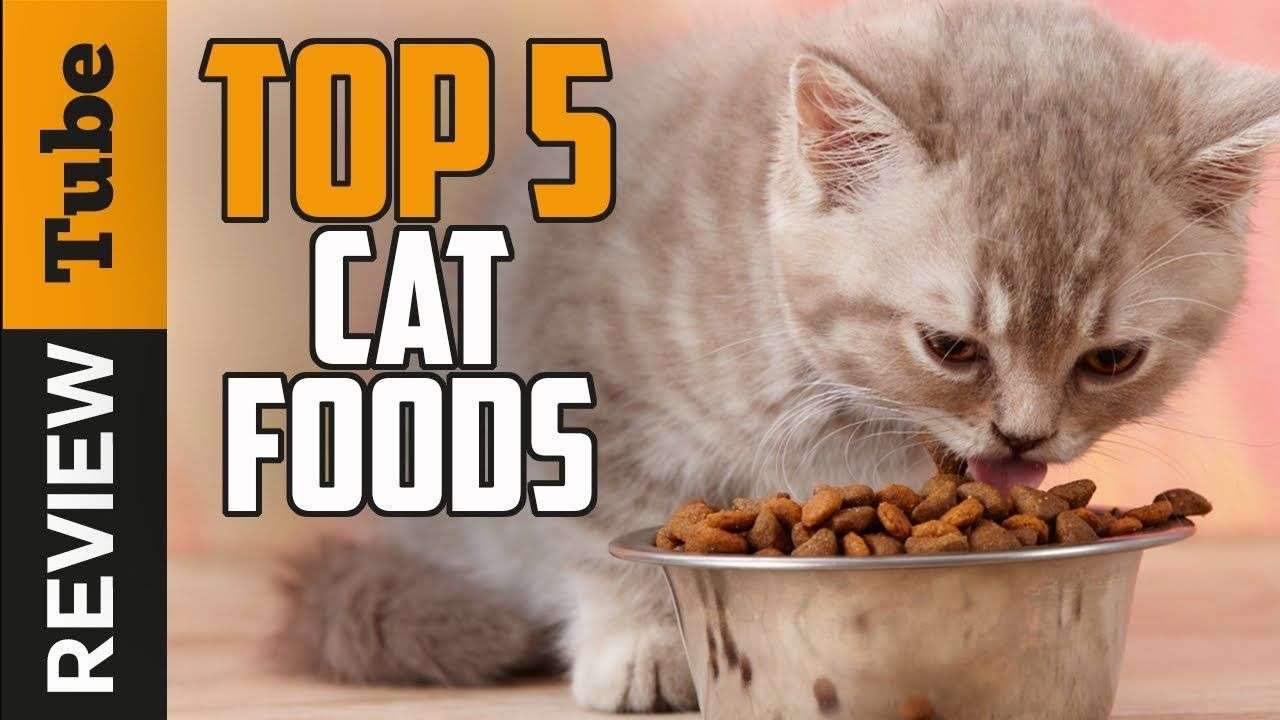 Cat Food: Best Cat Food 2018 (Buying Guide)