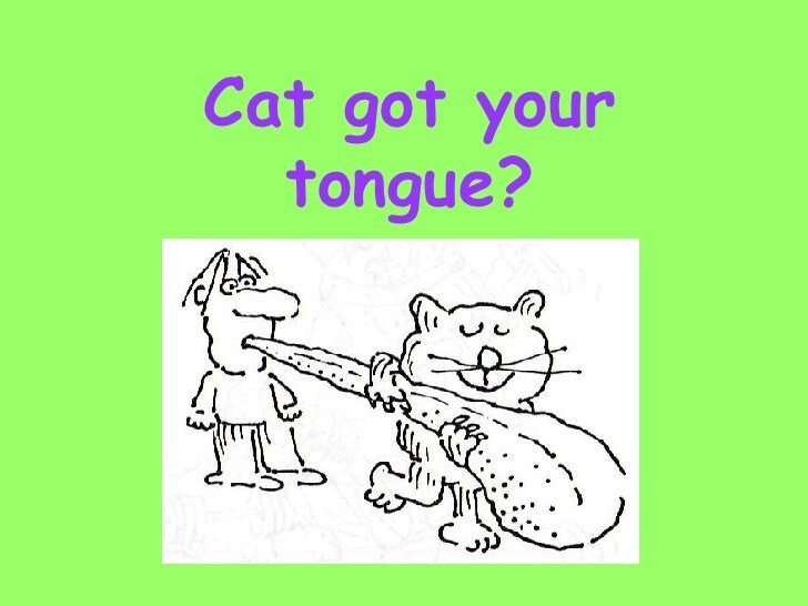 Cat Got Your Tongue 1