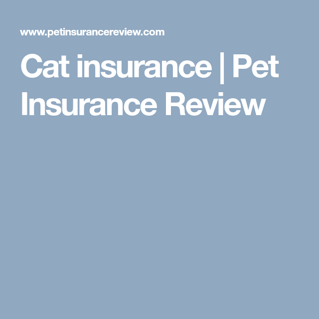 Cat insurance