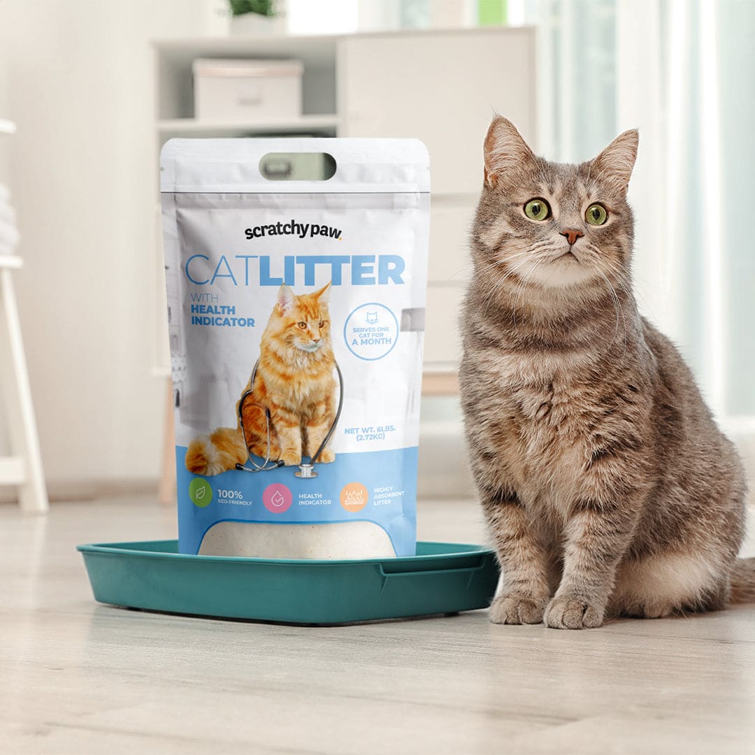 Cat Litter with Health Indicator  Alpha Paw LLC