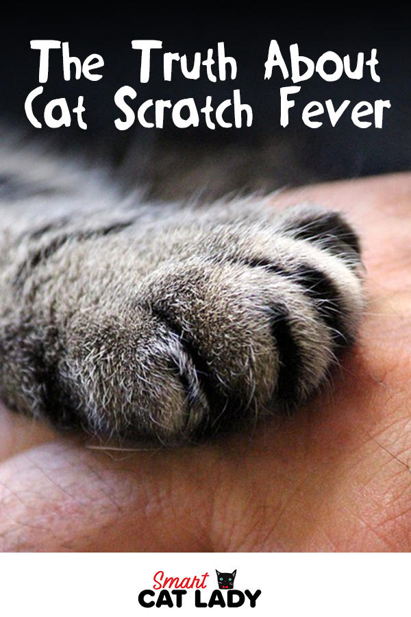 Cat Scratch Fever Infection