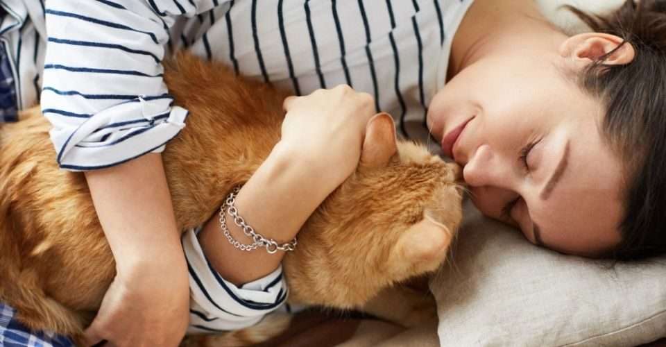Cat Sleeping: What Does It Mean When Your Cat Sleeps on You?