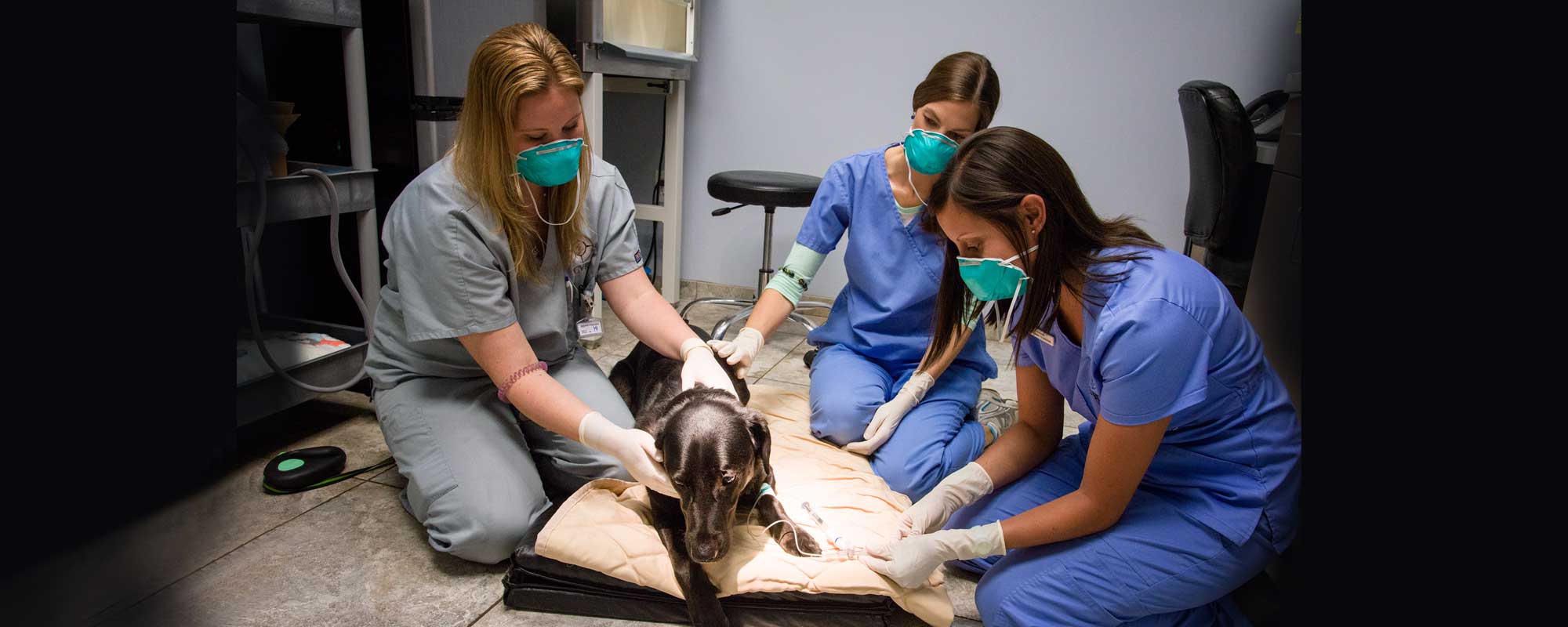 Charleston Veterinary Referral Center