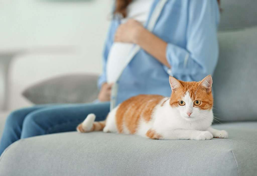 CLEANING CAT LITTER WHILE PREGNANT
