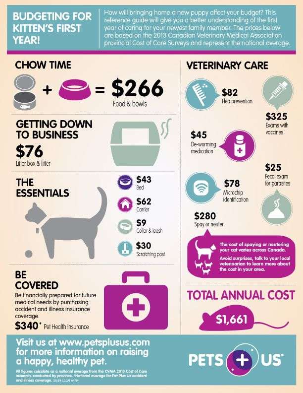 Cost of Pet Care