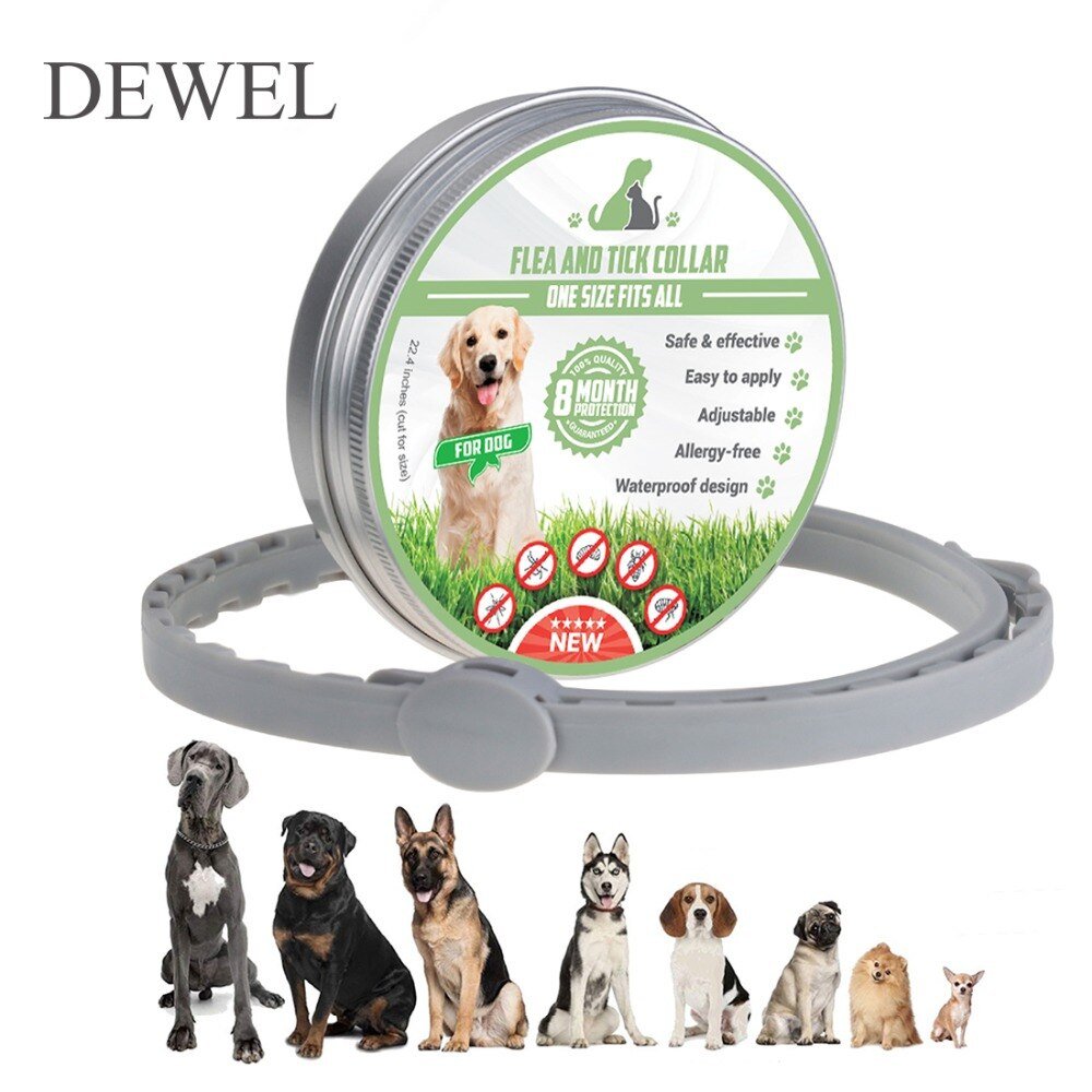 Dewel Anti insect Cat Dog Collar Protection Anti Flea ...