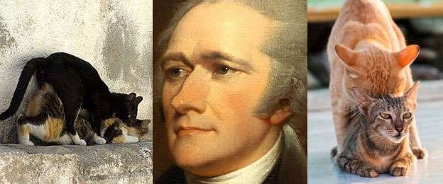 Did Martha Washington Name Her Cat After Alexander Hamilton?