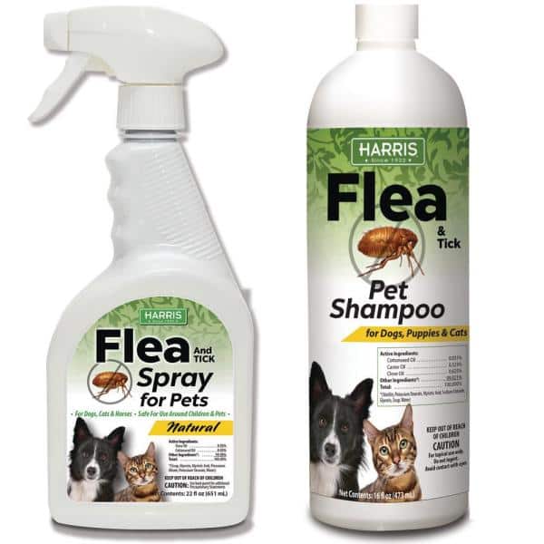 Diy Flea And Tick Shampoo For Cats / Homemade Tick Shampoos For Dogs ...