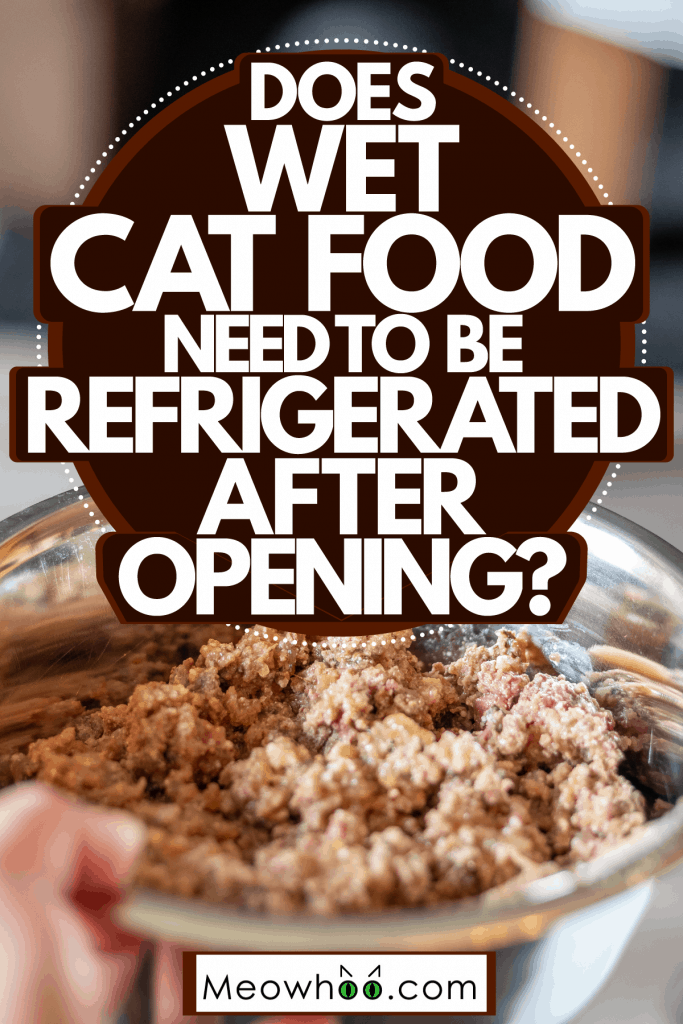Does Wet Cat Food Need To Be Refrigerated After Opening?  https ...
