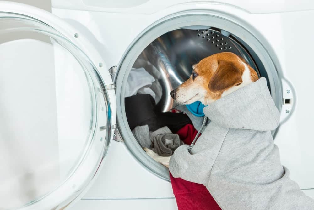 Dont Let Pet Hair Destroy Your Washing Machine