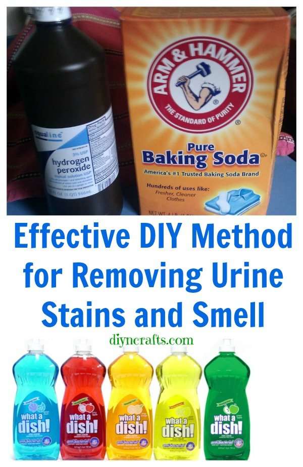 Effective DIY Method for Removing Urine Stains and Smell ...