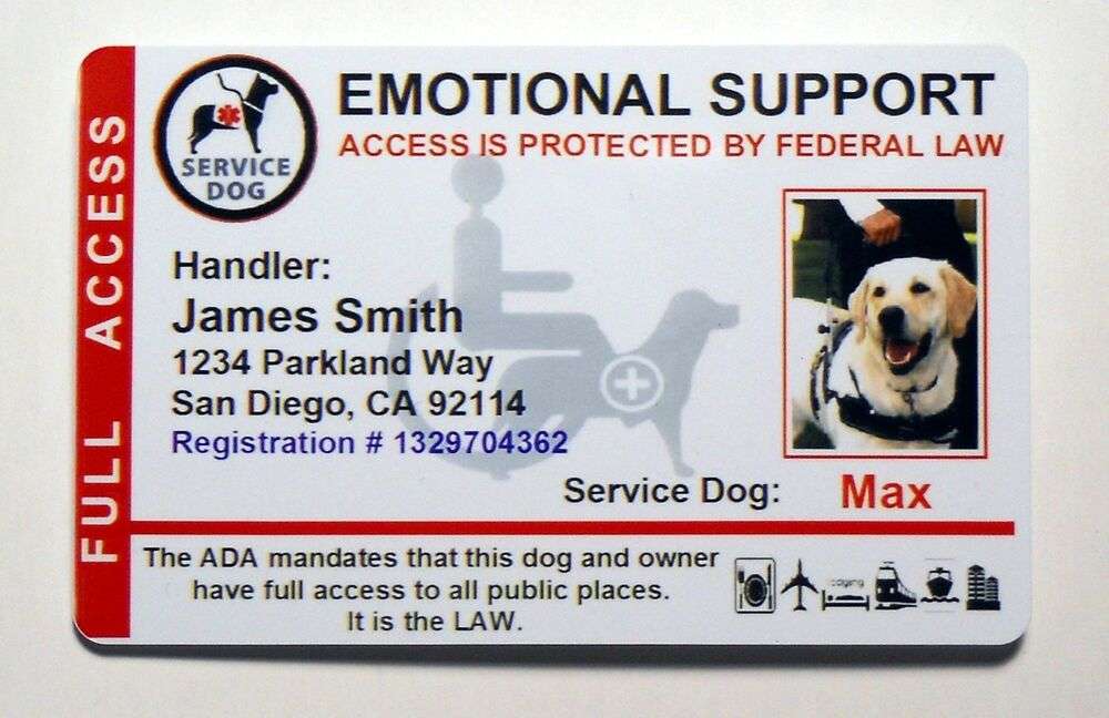 EMOTIONAL SUPPORT SERVICE DOG ID CARD FOR SERVICE ANIMAL ADA RATED ...