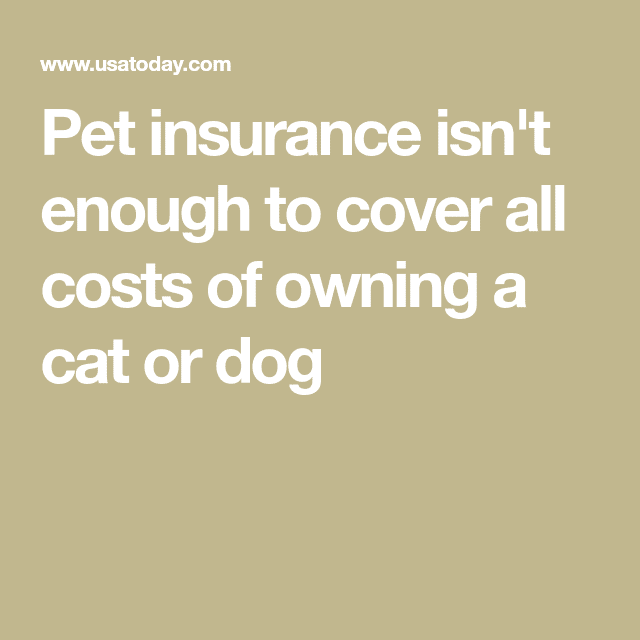 Even with pet insurance, owning a dog or cat comes with medical bills ...