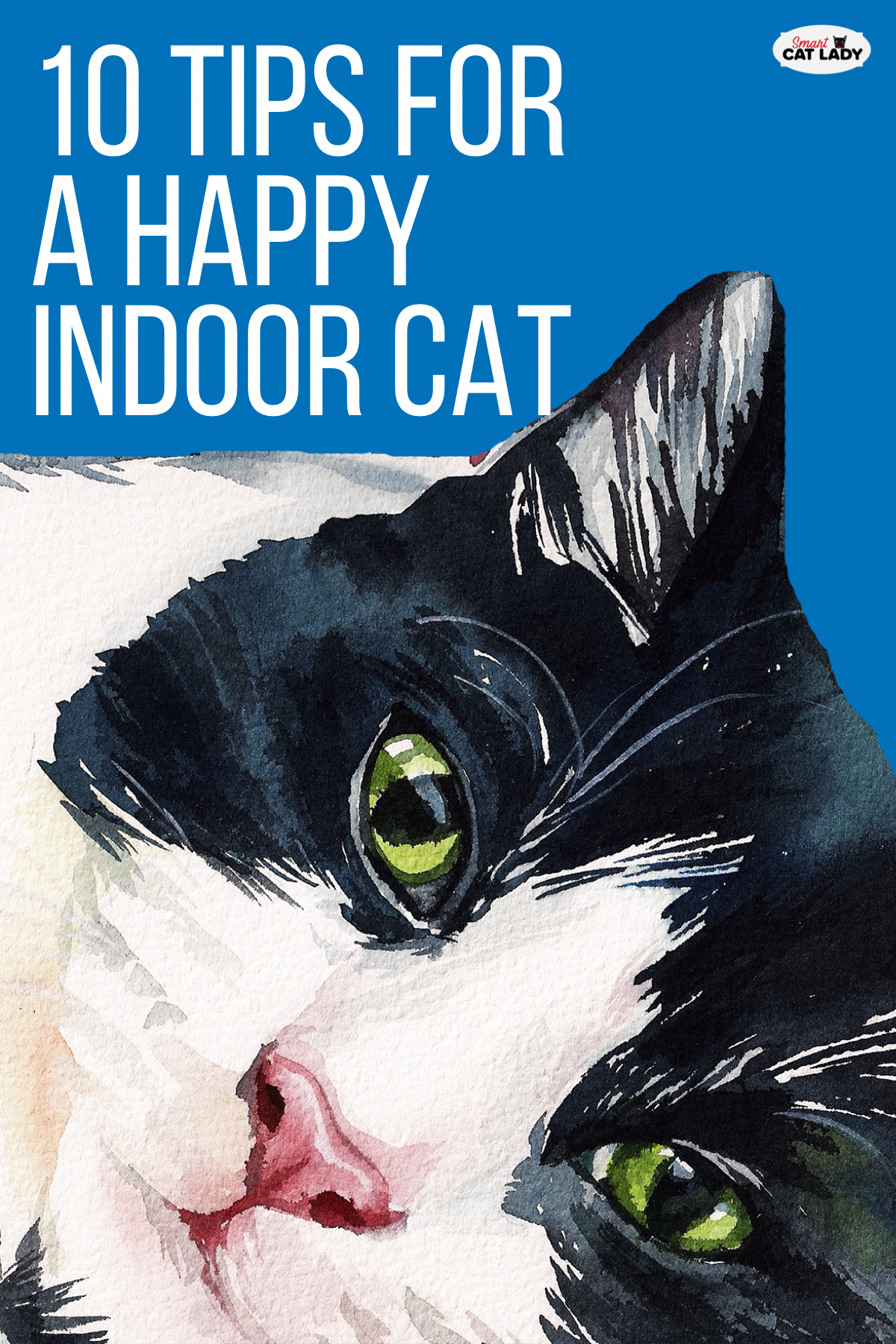 Ever wonder How to make my cat happy indoors. Or how to ...