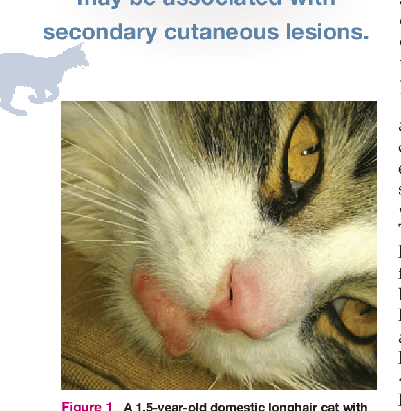Figure 1 from Mast Cell Tumors in Cats
